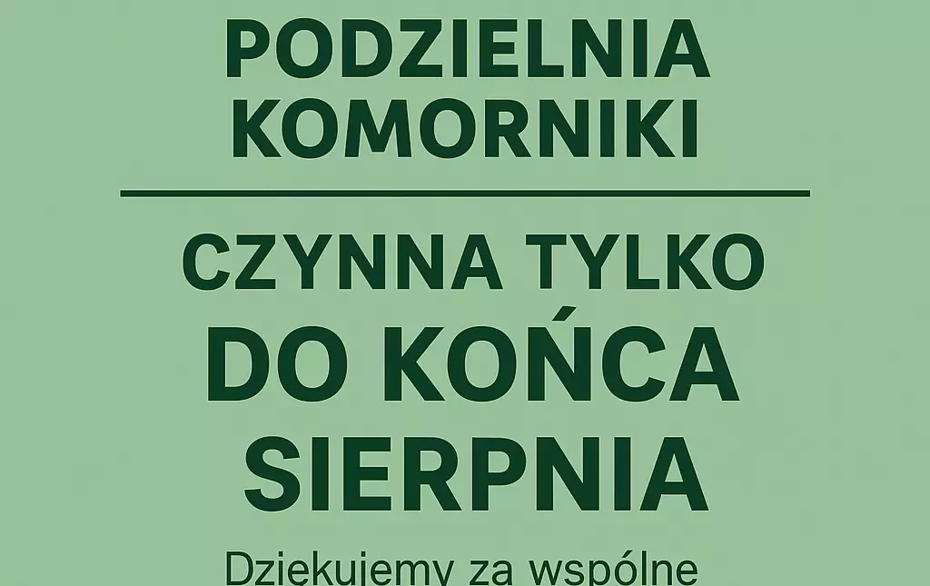 Zdjęcie do PODZIELNIA - zawieszona 